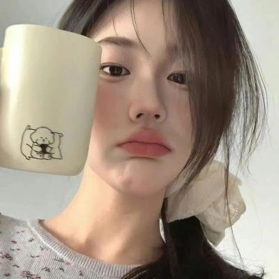 南极大冒险